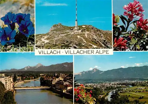 Villach Kaernten Villacher Alpe Enzian Alpenrose Sendemast  Kat. Villach