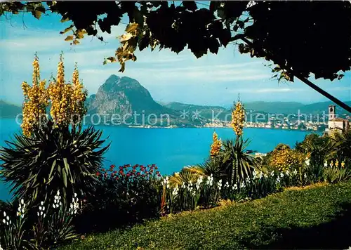 AK / Ansichtskarte Castagnola Cassarate Panorama Monte San Salvatore Kat. Castagnola