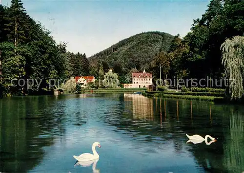 AK / Ansichtskarte Bad Bergzabern Schwanenweiher Kat. Bad Bergzabern