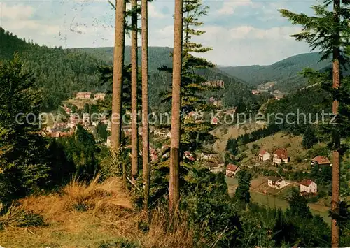 AK / Ansichtskarte Bad Herrenalb Panorama Blick vom Wurstberg Schwarzwald Kat. Bad Herrenalb