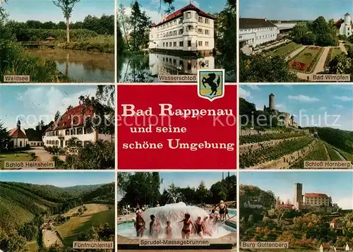 AK / Ansichtskarte Bad Rappenau Waldsee Schloss Heinsheim Bad Wimpfen Wasserschloss  Kat. Bad Rappenau
