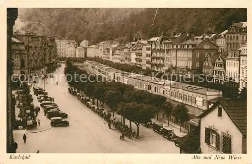 AK / Ansichtskarte Karlsbad Eger Alte und Neue Wiese