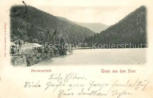 AK / Ansichtskarte Harz Region Herzbergerteich