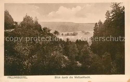 AK / Ansichtskarte Fallingbostel Blick durch die Wolfsschlucht Kat. Bad Fallingbostel