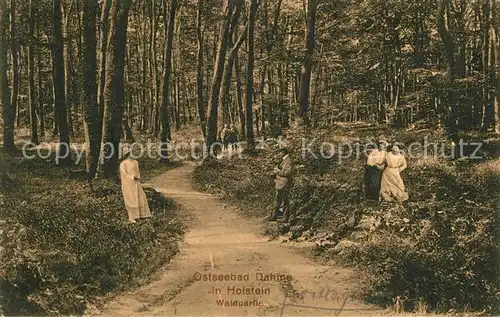 AK / Ansichtskarte Dahme Ostseebad Waldpartie Kat. Dahme