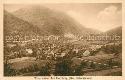 AK / Ansichtskarte Niederwasser Panorama Kat. Hornberg
