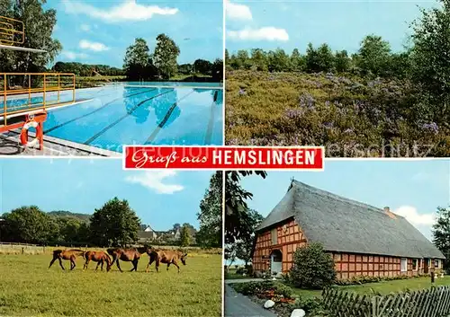 AK / Ansichtskarte Hemslingen Schwimmbad Heidelandschaft Pferdeherde Bauernhaus Kat. Hemslingen