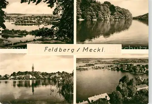 AK / Ansichtskarte Feldberg Mecklenburg Panorama Blick vom Reiherberg Schmaler Luzin Haussee Amtswerder Kat. Feldberger Seenlandschaft