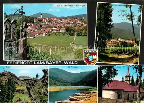 AK / Ansichtskarte Lam Oberpfalz mit Totenbretter und Hohenbogen Kaltersberg Maria Hilf Arbersee Osser Kat. Lam