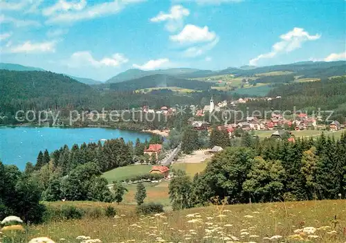 AK / Ansichtskarte Titisee Neustadt Seepartie Kat. Titisee Neustadt