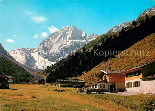 AK / Ansichtskarte Neustift Stubaital Tirol Pinnisalm mit Habicht Stubaier Alpen Kat. Neustift im Stubaital