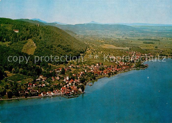 AK / Ansichtskarte Bodman Bodensee mit Ruine Alt Bodman und Schloss