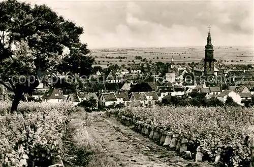 AK / Ansichtskarte Gruenstadt Panorama Kat. Gruenstadt