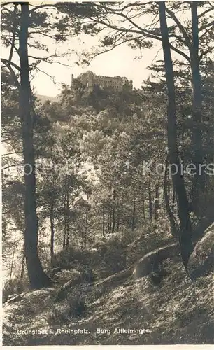 AK / Ansichtskarte Gruenstadt Burg Altleiningen Kat. Gruenstadt