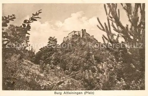 AK / Ansichtskarte Altleiningen Burg Kat. Altleiningen