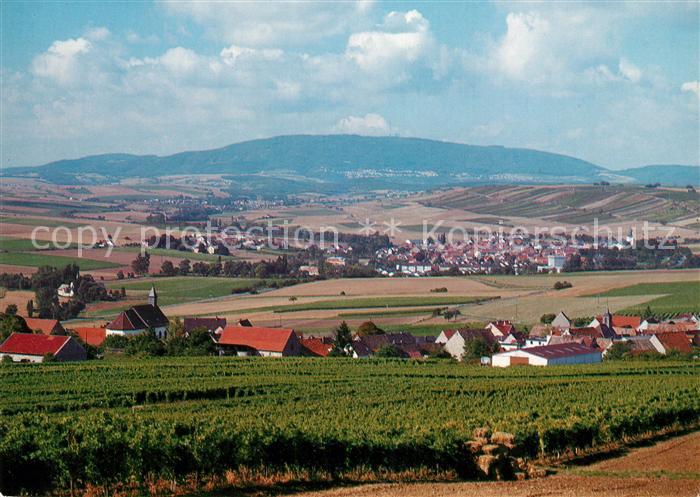 AK / Ansichtskarte Einselthum Panorama Donnersberg Kat. Einselthum Nr