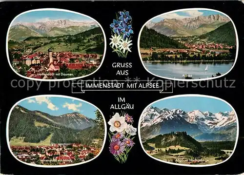 Immenstadt Allgaeu Stadtpanorama Alpen Alpsee Allgaeuer Hochgebirge Alpenflora Kat. Immenstadt i.Allgaeu