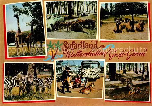 Wallerstaedten Safariland Tiere Kat. Gross Gerau