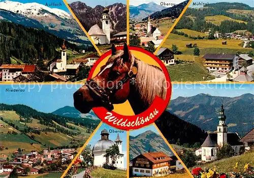 Wildschoenau Tirol und Umgebung Auffach Oberau Muehltal Niederau Oberau Kirche Haflinger Alpen