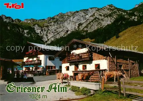 Kirchdorf Tirol Griesneralm Unterkunftshaus Naturschutzgebiet Wilder Kaiser Kaisergebirge Kat. Kirchdorf in Tirol Wilder Kaiser