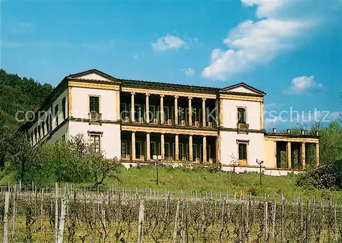 Edenkoben Schloss Villa Ludwigshoehe Serie Burgen Schloesser und Altertuemer Rheinland Pfalz Kat. Edenkoben