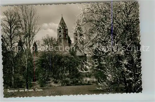 AK / Ansichtskarte Speyer Rhein Dom Kat. Speyer