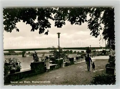 AK / Ansichtskarte Speyer Rhein Rheinpromenade Bruecke Kat. Speyer