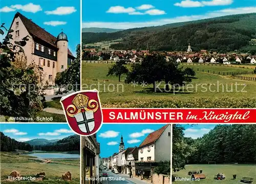 AK / Ansichtskarte Salmuenster Bad Soden Amtshaus Schloss Fischteiche Leipziger Strasse Muehlwiese Kat. Bad Soden am Taunus