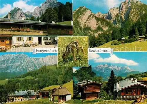 Berchtesgaden Berggasthaus Vorderbrand Rehkitz Dorfmotive Kat. Berchtesgaden