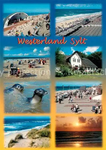 Westerland Sylt Konzertpavillon Strand Promenade Friesenhaus Seehund Duenen Sonnenuntergang Kat. Westerland
