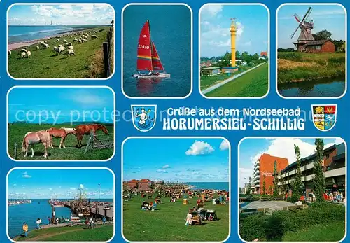 Schillig Schafherde Windmuehle Pferdekoppel Hafen Strand  Kat. Horumersiel Wangerland