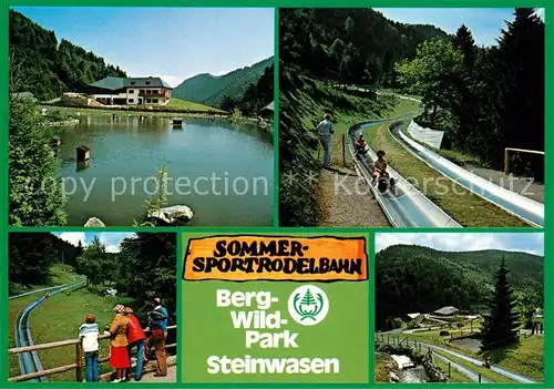 AK / Ansichtskarte Todtnau Berg Wild Park Steinwasen Schwanenteich Sommerrodelbahn Kat. Todtnau