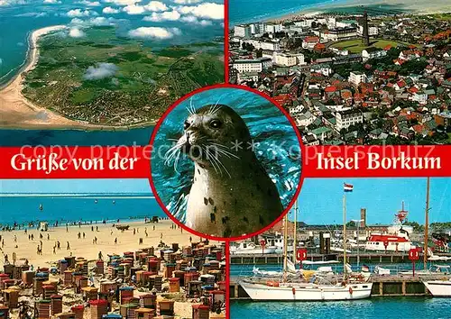 AK / Ansichtskarte Borkum Nordseebad Strand Hafen Segelschiff Seehund Fliegeraufnahmen Kat. Borkum