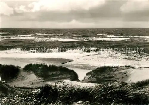 AK / Ansichtskarte Insel Sylt In den Duenen Kat. Westerland