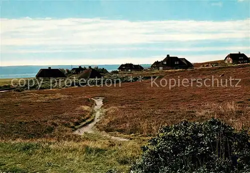 AK / Ansichtskarte Kampen Sylt Friesenhaeuser in der Kampener Heide Kat. Kampen (Sylt)