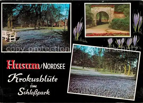 AK / Ansichtskarte Husum Nordfriesland Krokusbluete im Schlosspark Kat. Husum