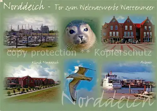 AK / Ansichtskarte Norddeich Ostfriesland Tor zum Weltnaturerbe Wattenmeer Yachthafen Seehund Doerper Weg Klinik Moewe Anleger Faehre Kat. Norden