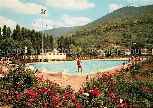 AK / Ansichtskarte Neustadt Weinstrasse Schwimmbad Freibad Kat. Neustadt an der Weinstr.