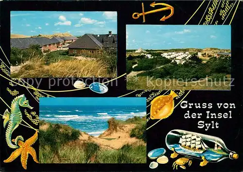 AK / Ansichtskarte List Sylt Jugendseeheim Kassel Kampen Duenen Buddelschiff Meeresfruechte Kat. List