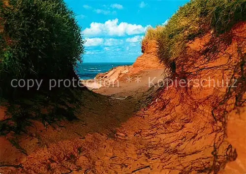 AK / Ansichtskarte Morsum Sylt Duenenlandschaft Naturschutzgebiet Kat. Sylt Ost