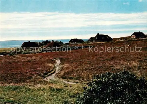 AK / Ansichtskarte Kampen Sylt Friesenhaeuser in der Kampener Heide Kat. Kampen (Sylt)