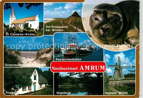AK / Ansichtskarte Amrum Clemens Kirche Seezeichenhafen Muehle Friesenhaus Seehund Kat. Nebel