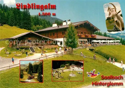 AK / Ansichtskarte Hinterglemm Saalbach Restaurant Lindlingalm Almhuette Kaeserei Ziege Kinderspielplatz Allgaeuer Alpen
