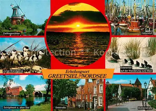 AK / Ansichtskarte Greetsiel Eiderenten Muehle Hafen Brandgaense  Kat. Krummhoern