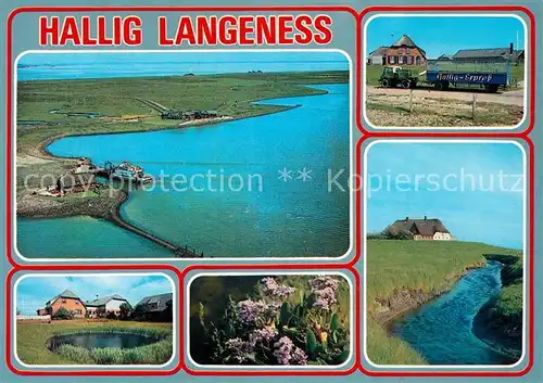 AK / Ansichtskarte Langeness Hallig Express Fliegeraufnahme Kat. Langeness