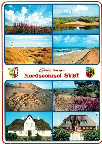 AK / Ansichtskarte Insel Sylt Duenen Heidekraut  Kat. Westerland