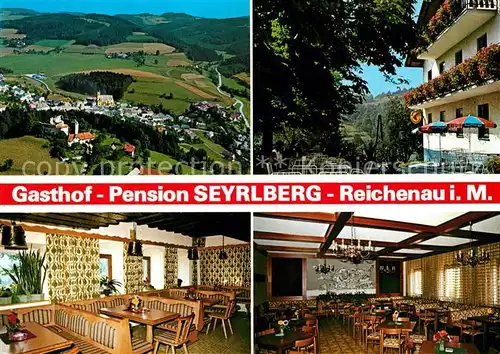 Reichenau Rax Fliegeraufnahme Gasthof Pension Seyrlberg Kat. Reichenau an der Rax