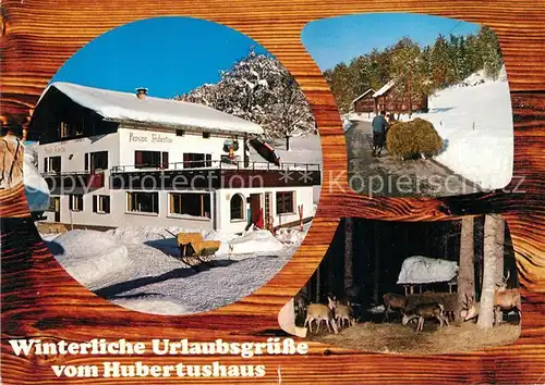 AK / Ansichtskarte Vorarlberg Pension Hubertus Pferdeschlitten Wildfuetterung Kat. Oesterreich