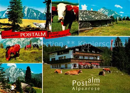AK / Ansichtskarte Strobl Postalm Gasthof Alpenrose Kuehe Pferde Alpenpanorama Kat. Strobl