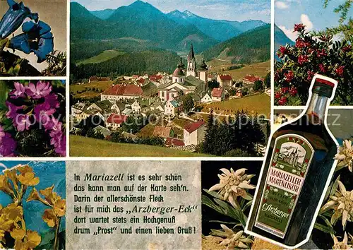 Mariazell Steiermark Gesamtansicht mit Basilika Alpenpanorama Alpenflora Mariazeller Magenlikoer Kat. Mariazell
